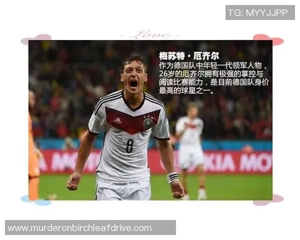 2017年德国足球明星的辉煌成就与未来发展展望