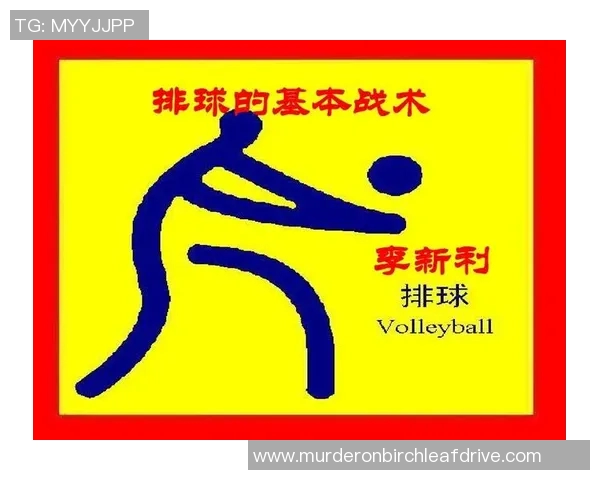 南京排球队节奏对比分析透视球队风格与战术演变 南京排球队节奏对比分析透视球队风格与战术演变