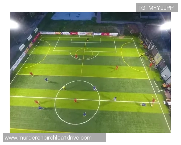 南京足球队现状揭秘:从训练到比赛的全景分析与展望 南京足球队现状揭秘:从训练到比赛的全景分析与展望