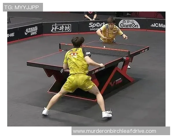 大满贯点评:北京篮球队在比赛中的经验与表现分析 大满贯点评:北京篮球队在比赛中的经验与表现分析