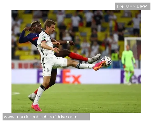 广州网球队在欧锦赛中的技术表现分析与点评 广州网球队在欧锦赛中的技术表现分析与点评