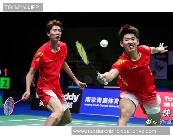 数据分析：南京羽毛球队的配合表现