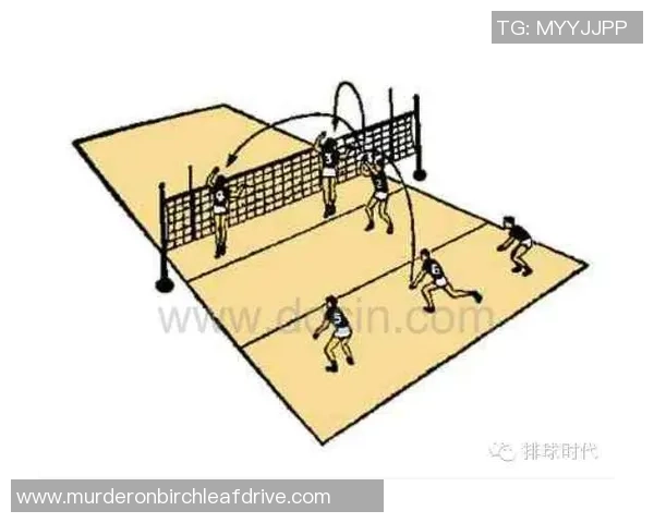 深入分析北京排球队的整体压制战术及其在比赛中的应用效果