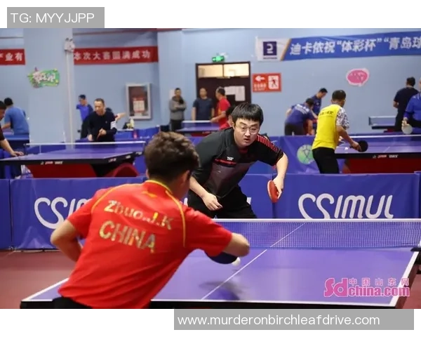 深圳乒乓球队在联合会杯中的速度表现分析与点评
