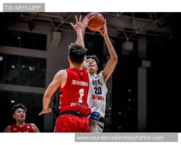 深圳篮球队杯赛技术分析与表现评估全景解读