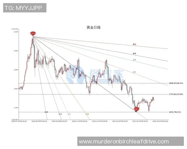 深度分析西安排球队的阵地战战术与执行策略解析