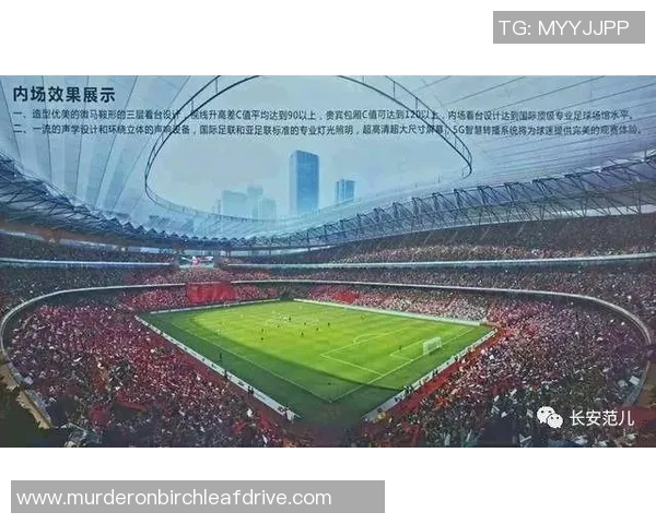 西安足球队运营策略深度分析与发展前景探讨 西安足球队运营策略深度分析与发展前景探讨