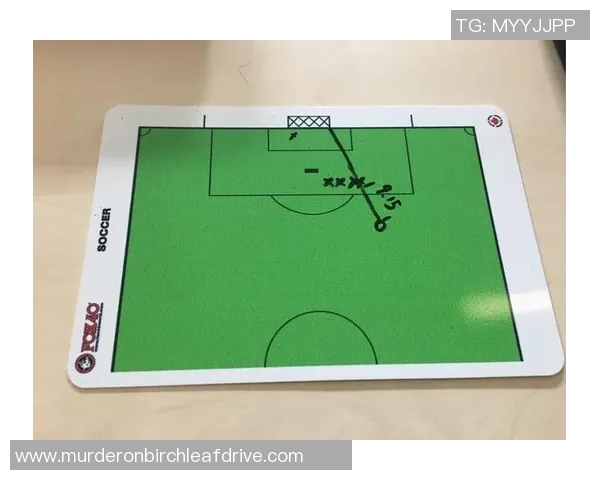 足球深度：解密南京足球队的运营