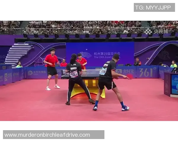 乒乓球巨献：探秘杭州乒乓球队的意识