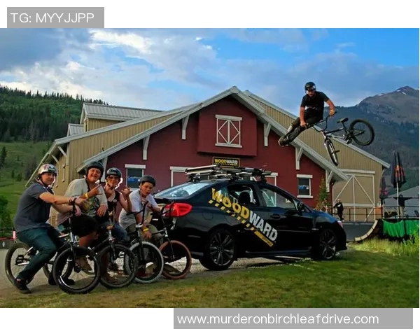 数据分析：北京极限运动队的比赛经验表现