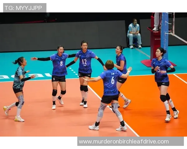 排球热点：解读深圳排球队的进攻