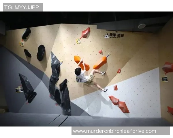 数据分析：西安攀岩队的技术表现