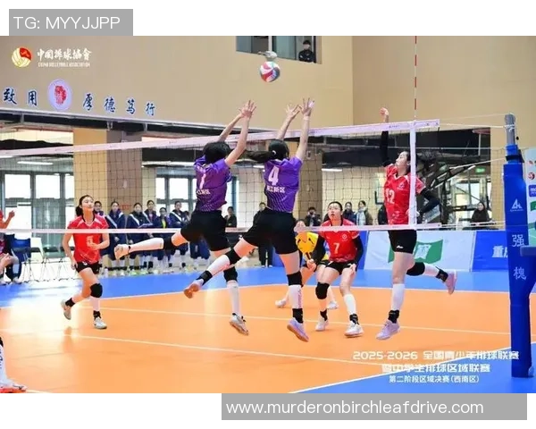 热议排球：重庆排球队的速度变革