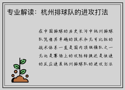 专业解读：杭州排球队的进攻打法