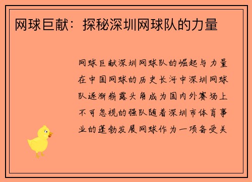 网球巨献：探秘深圳网球队的力量