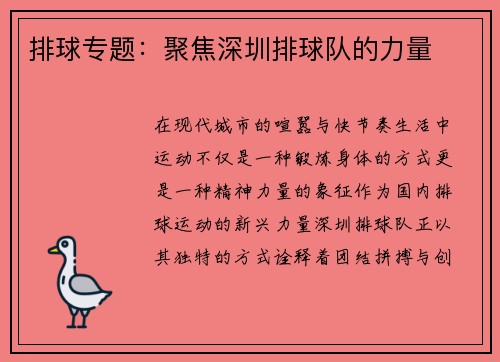 排球专题：聚焦深圳排球队的力量